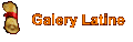 Galery Latine